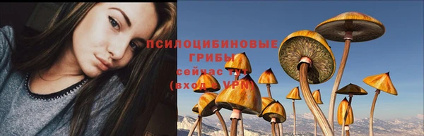 герыч Бугульма