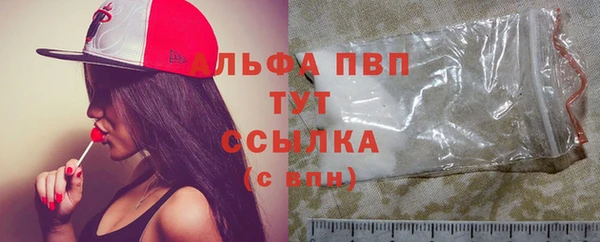 ПСИЛОЦИБИНОВЫЕ ГРИБЫ Жердевка
