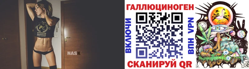 наркота  Кашин  KRAKEN как войти  Галлюциногенные грибы Psilocybine cubensis 